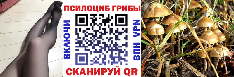 Псилоцибиновые грибы MAGIC MUSHROOMS  наркошоп  Гвардейск 