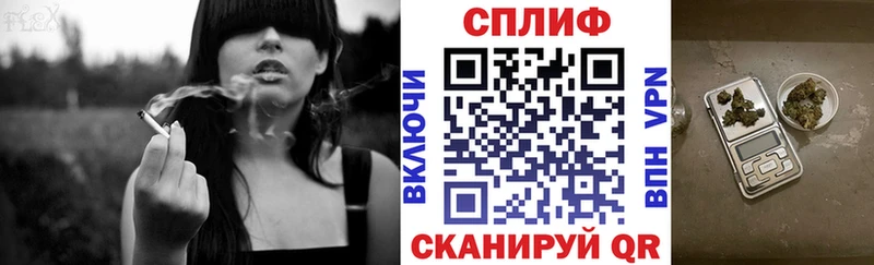 Конопля ГИДРОПОН  Гвардейск 